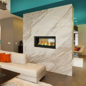 Napoleon Vector™ See Thru 38 - LV38N2-1